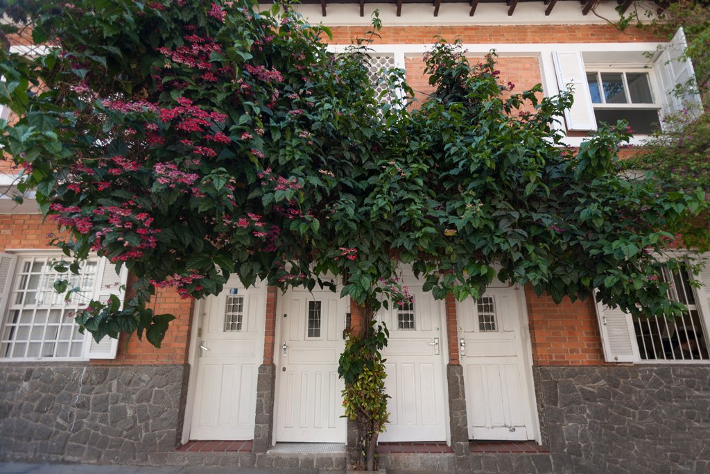 Fachada da vila com primavera florida